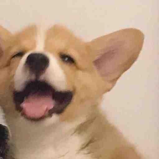 Doujiang_Youtiao2580