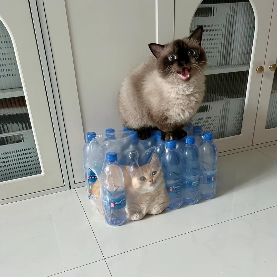 最北