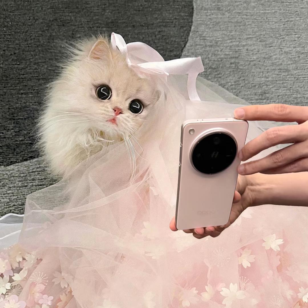 唐僧洗头我烫头🦋