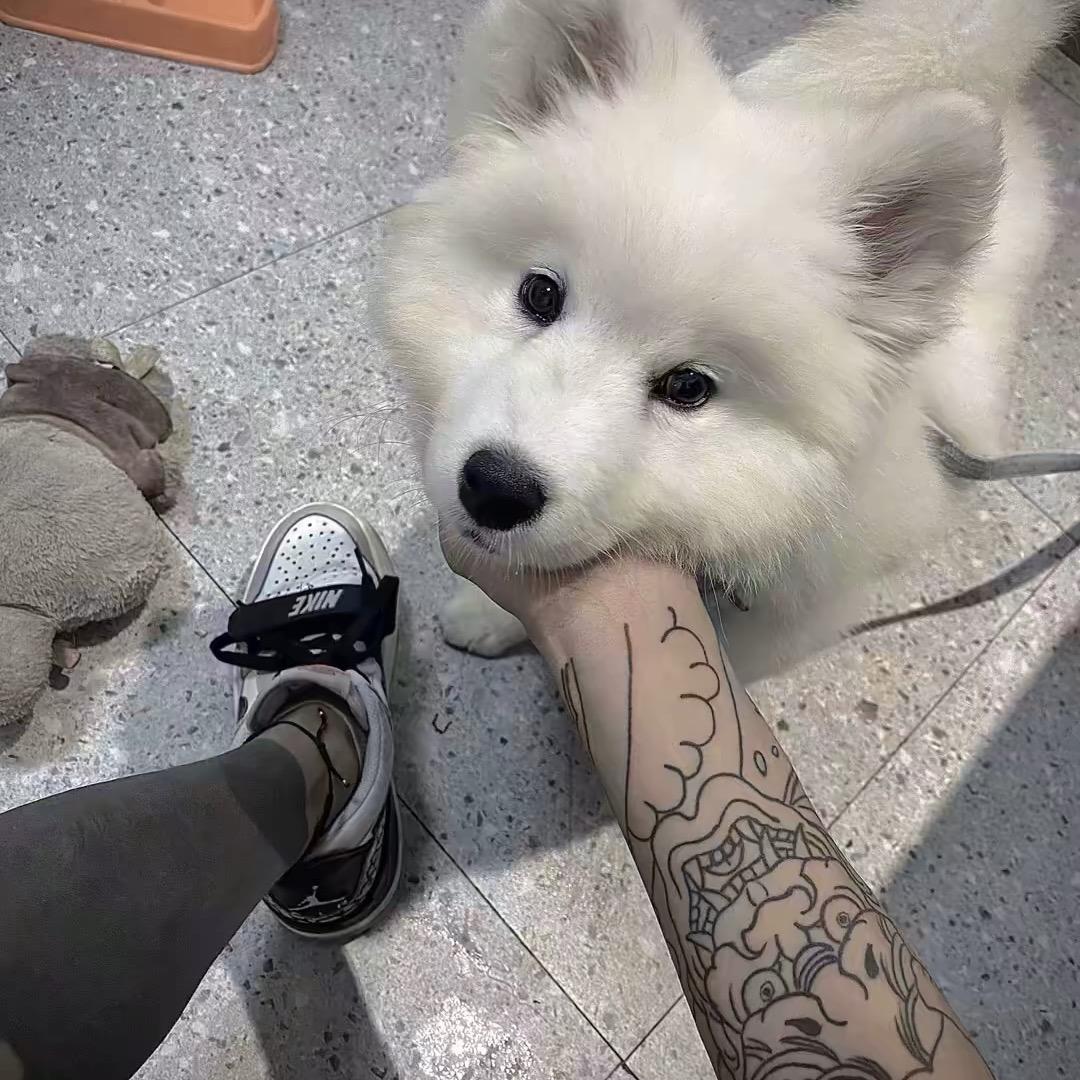 小小鑫