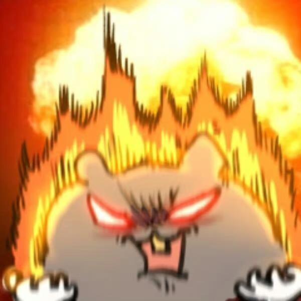 仓猫
