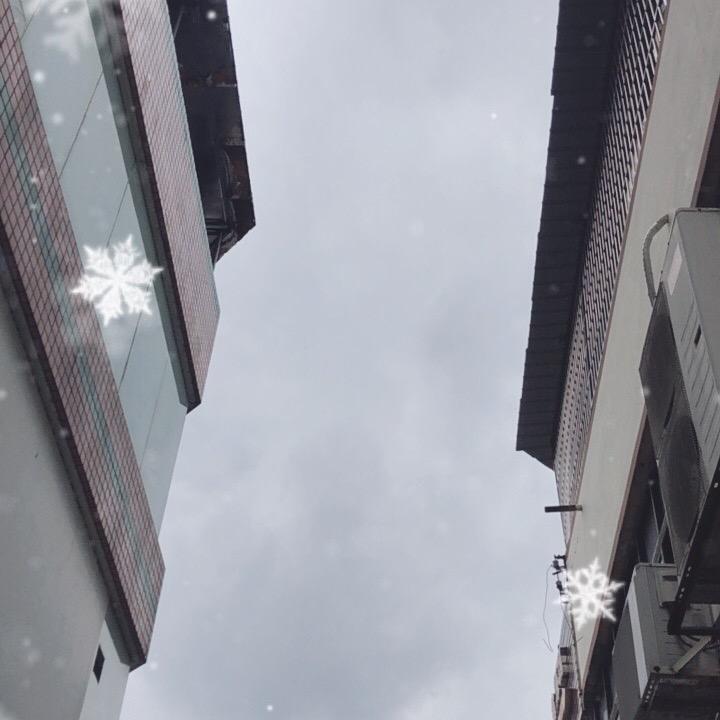 李月生1好