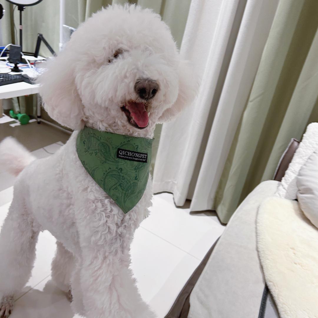 🍒樱桃姐姐🍒