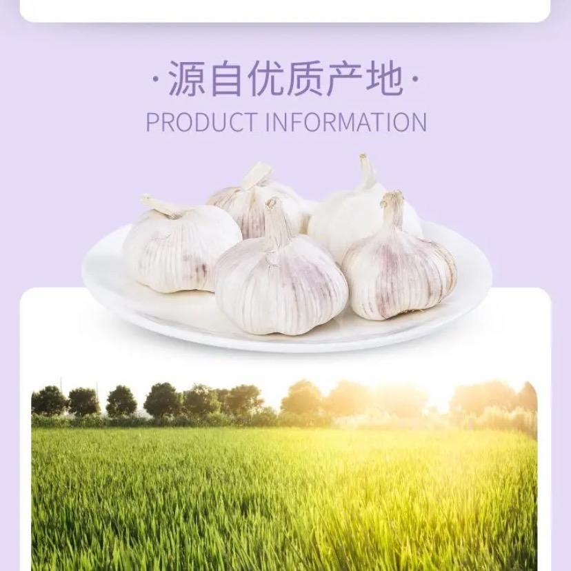 温鲜莱生鲜
