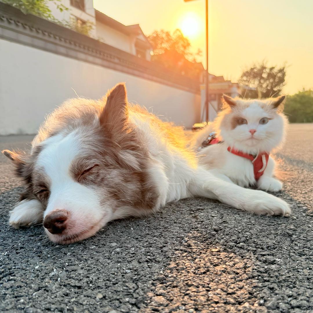 一口一个团@抖音