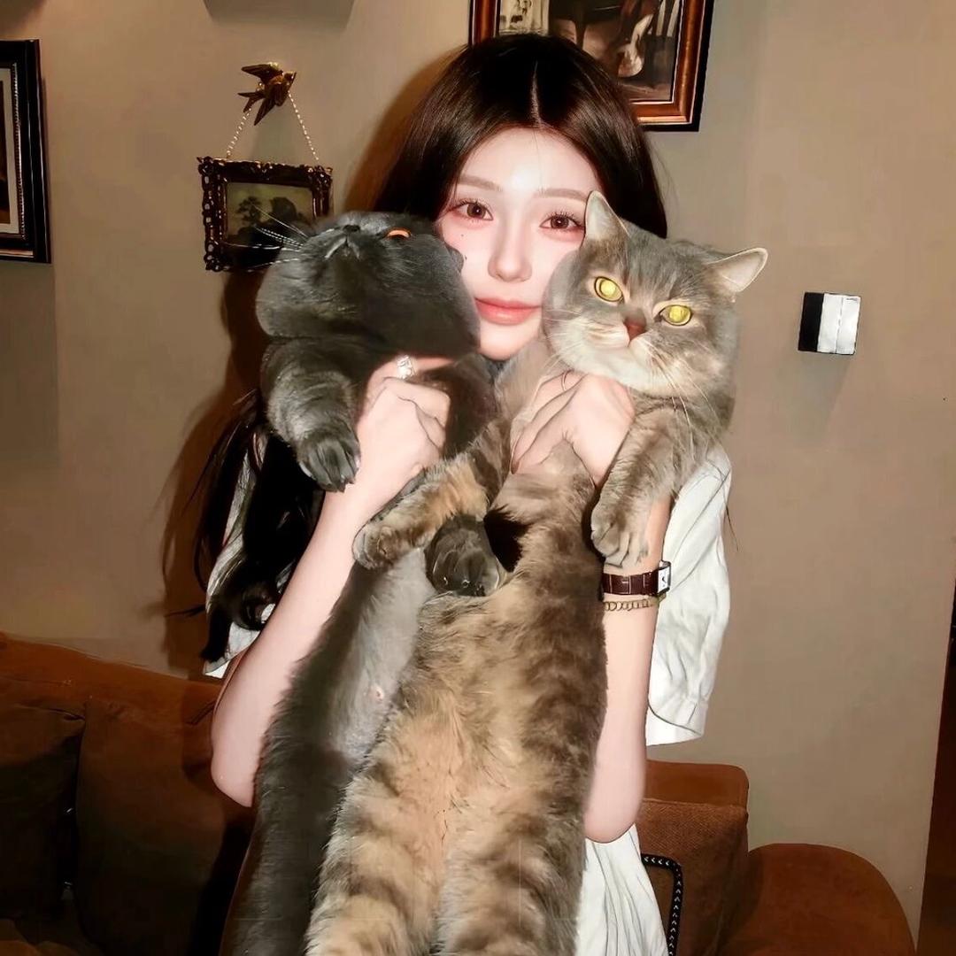 噼里啪啦
