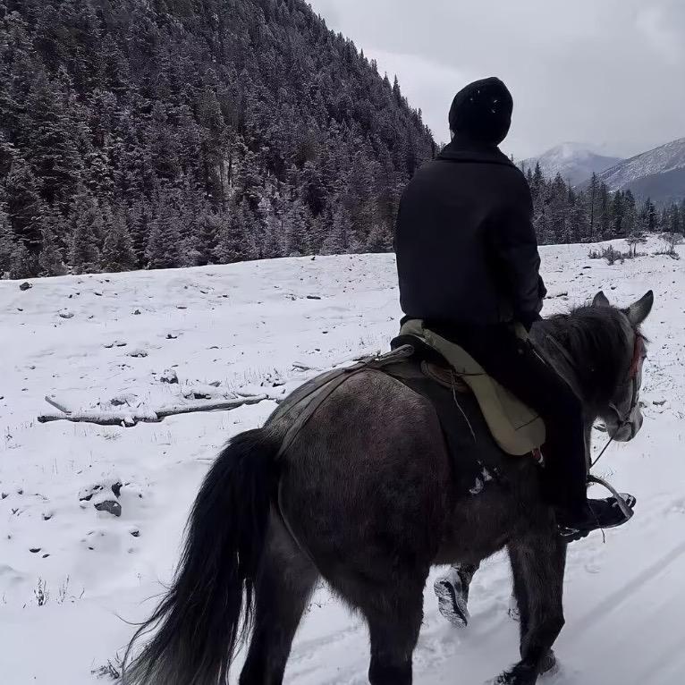 武安优得二手车小虎