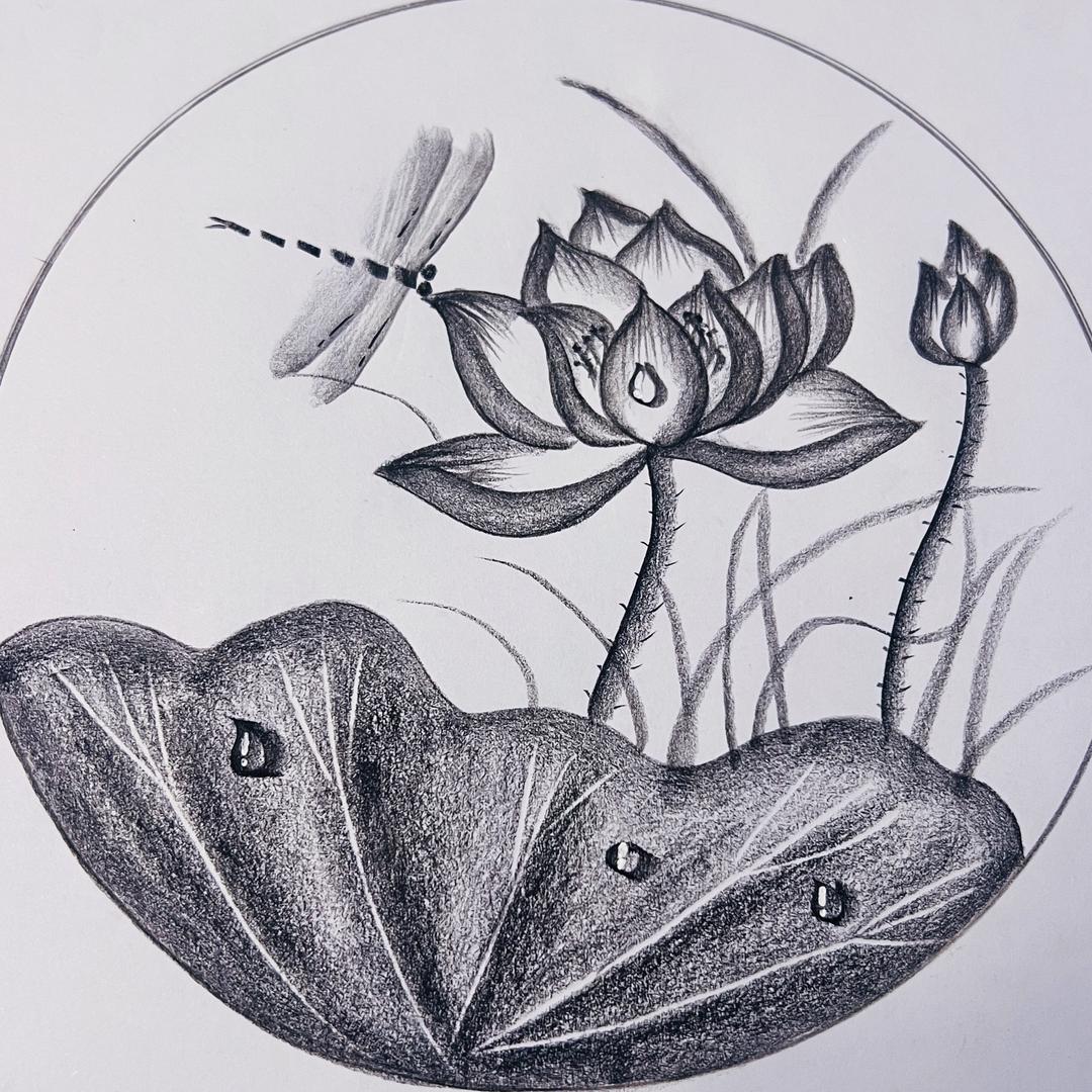 小白老师教画画