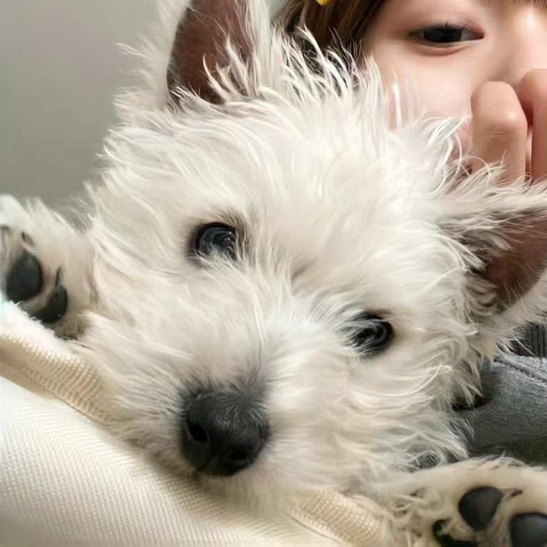 “选择你行不行”