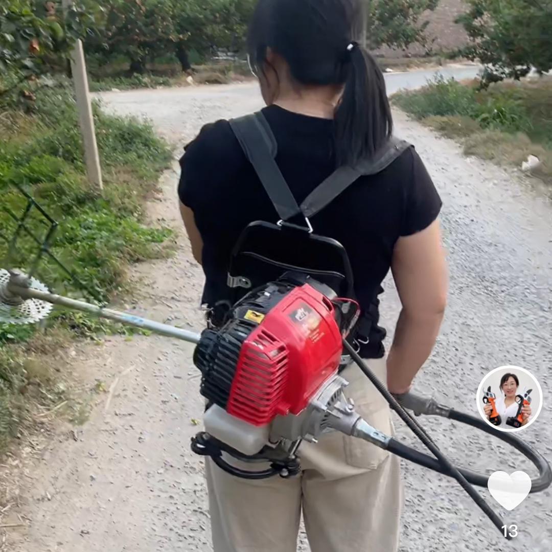 风吹过花海园林机械