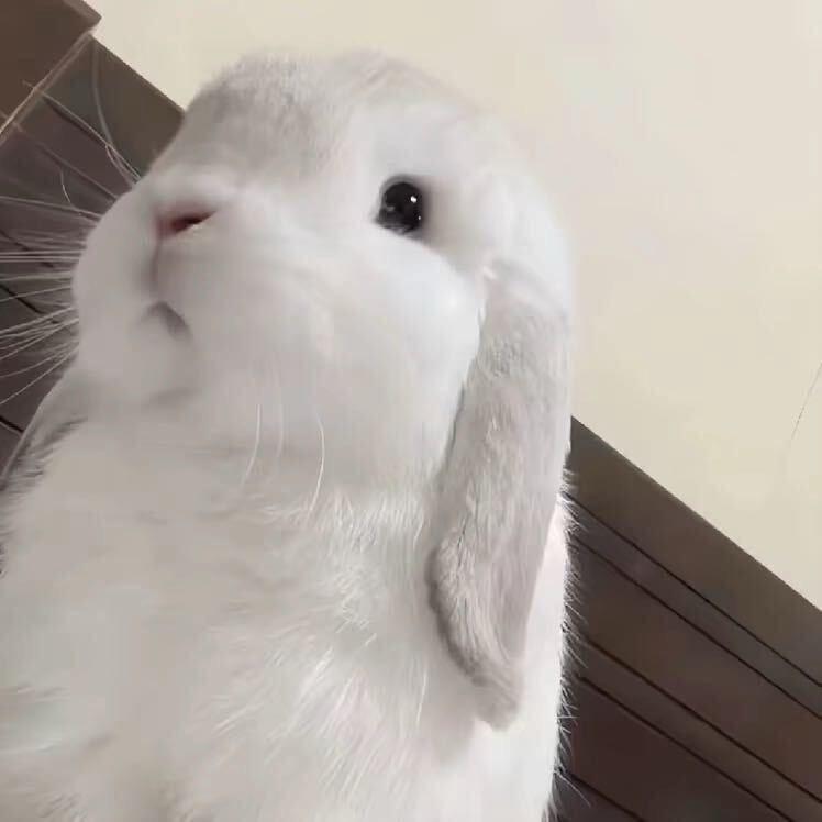 我几乎没有社交