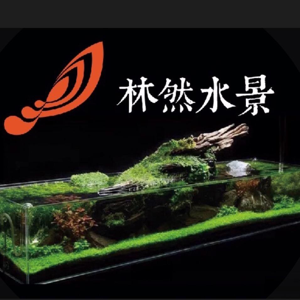林然水景植物景观培训批发设计