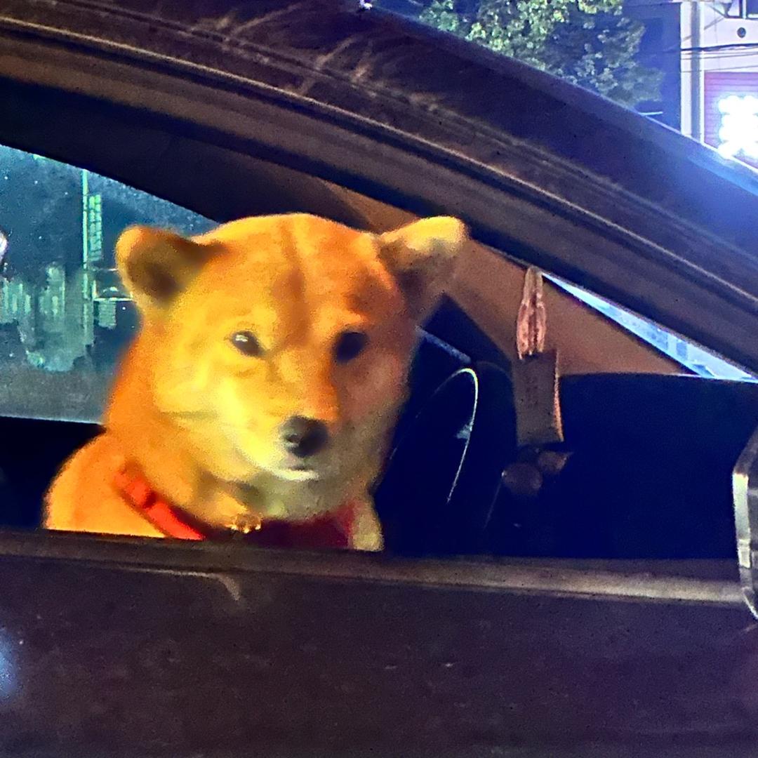 张黑黑
