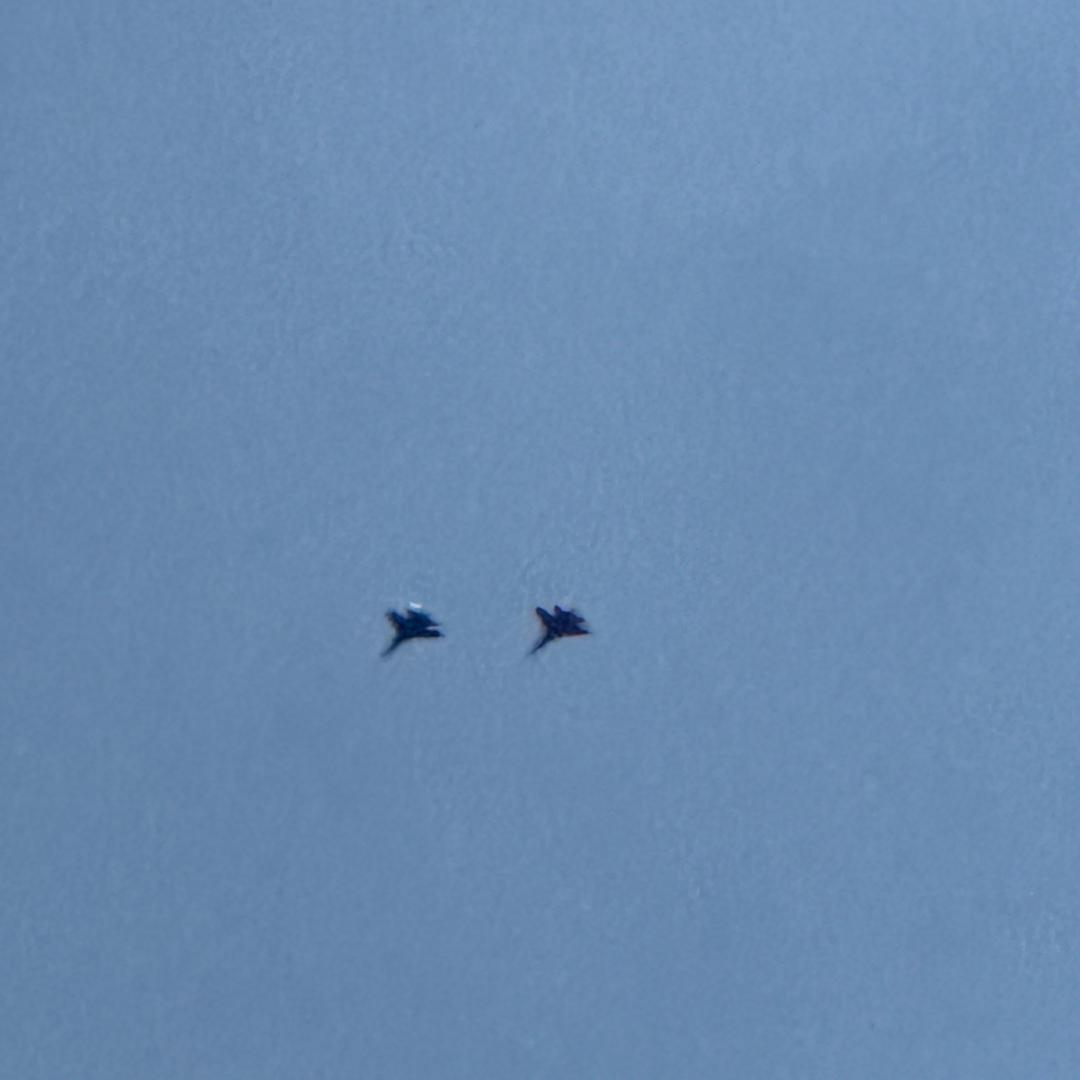 甄选