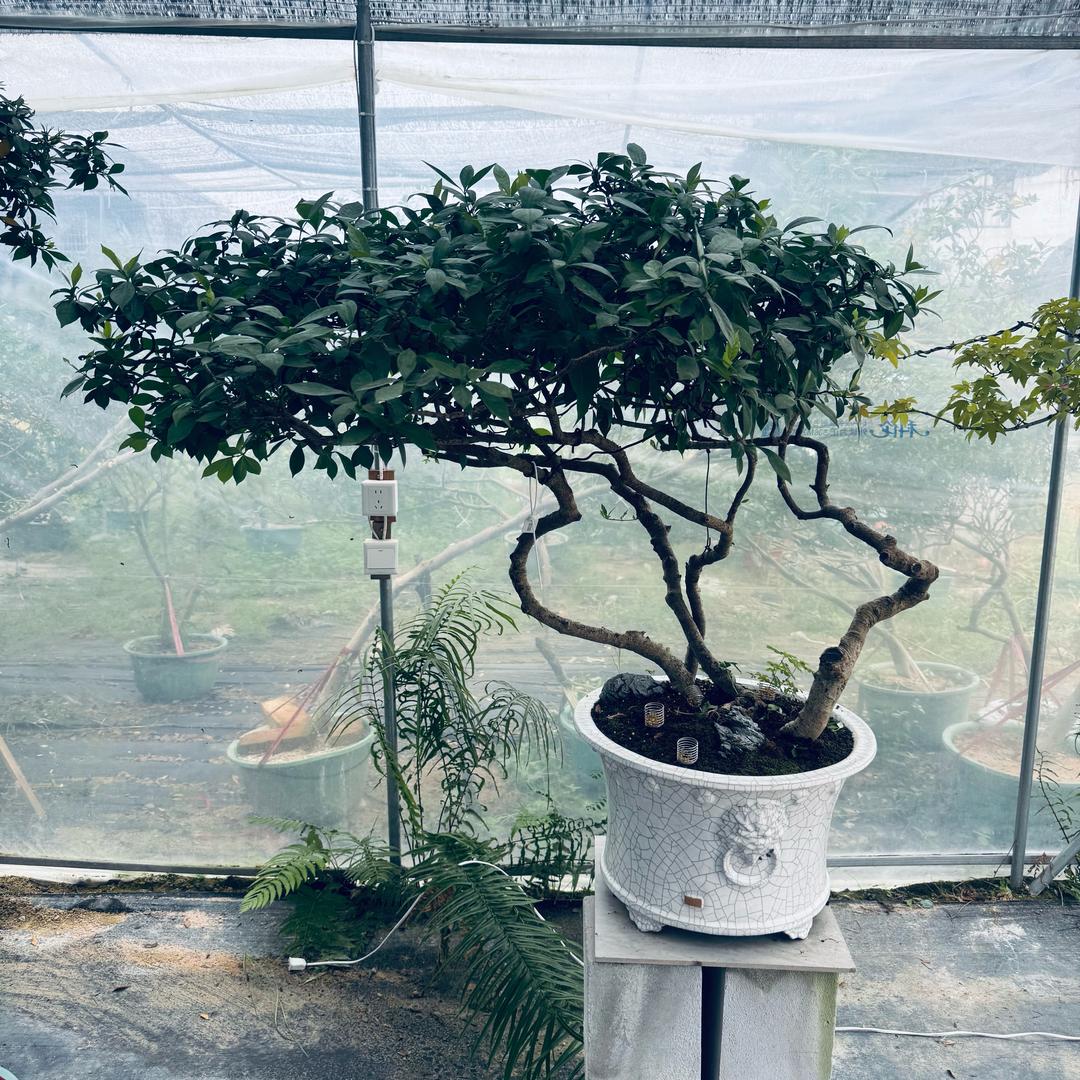 禾风里园艺庄园