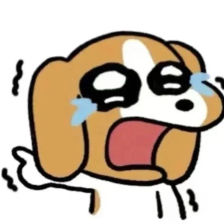我是小皇帝
