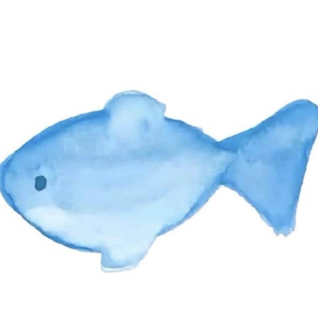 脆皮鱼🐟