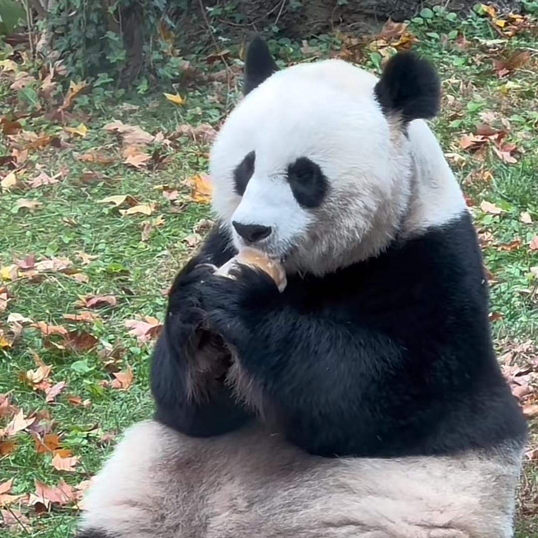 🎶珍惜@