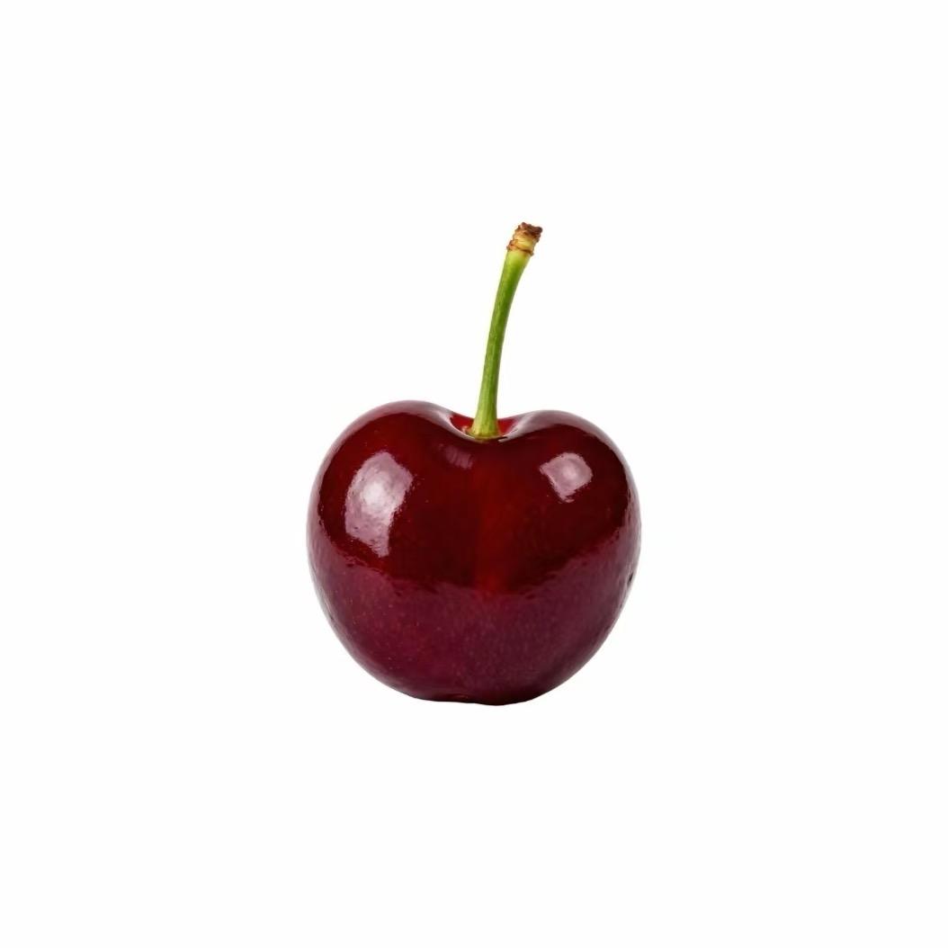 美女不会⁵语🐝