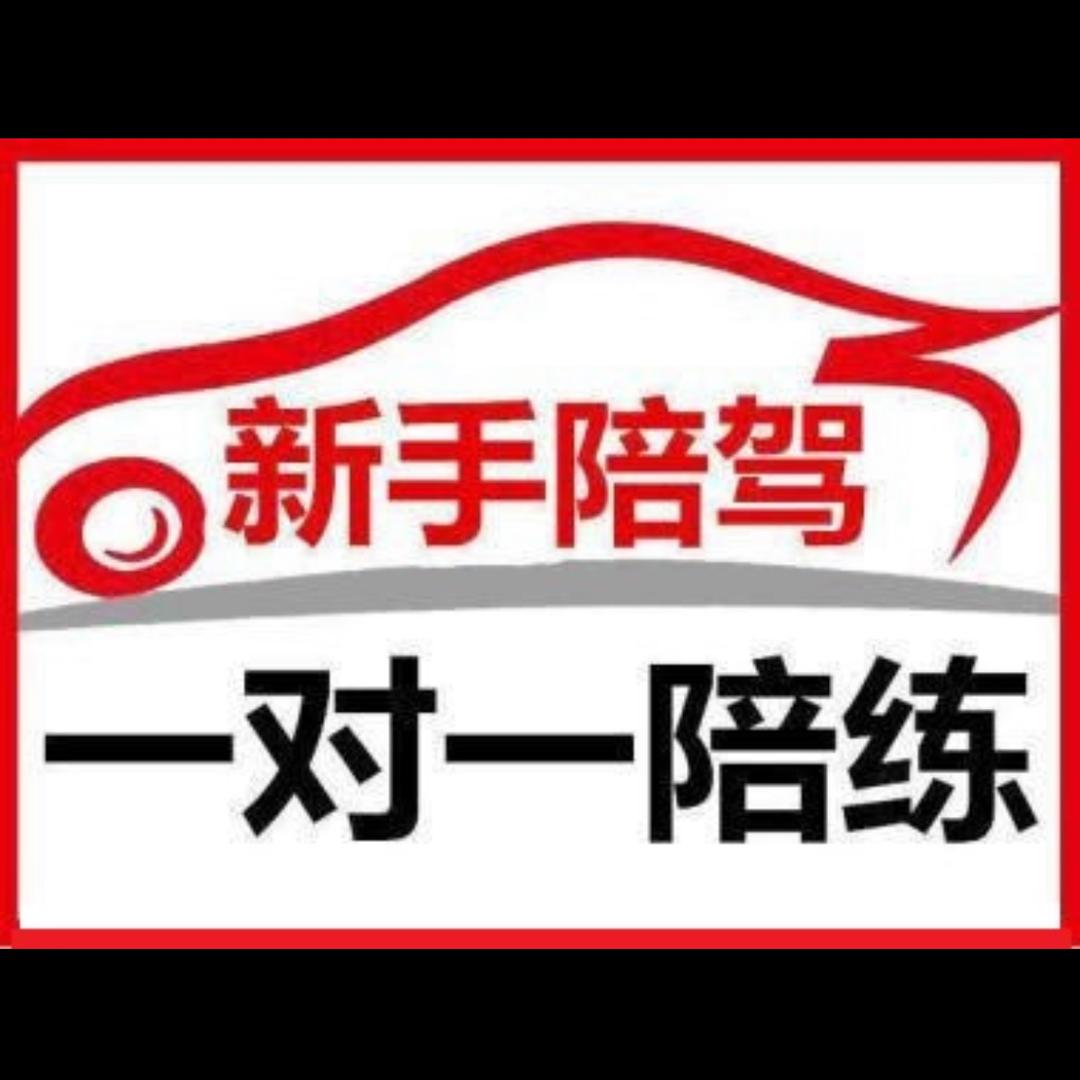 重庆汽车陪练、王