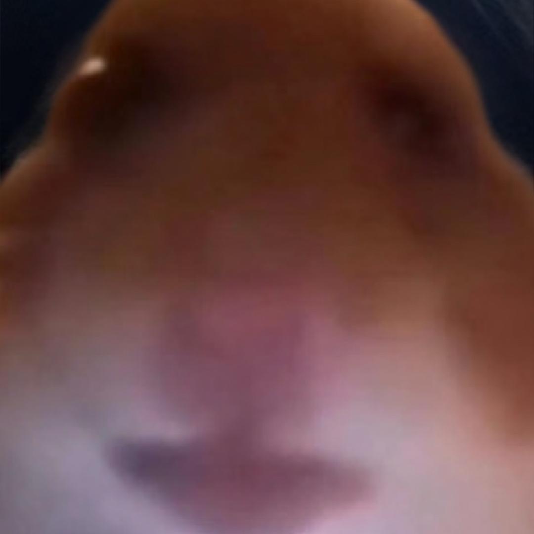 藏匿处