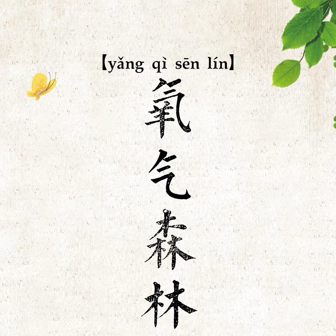 氧气森林(绿植仓)
