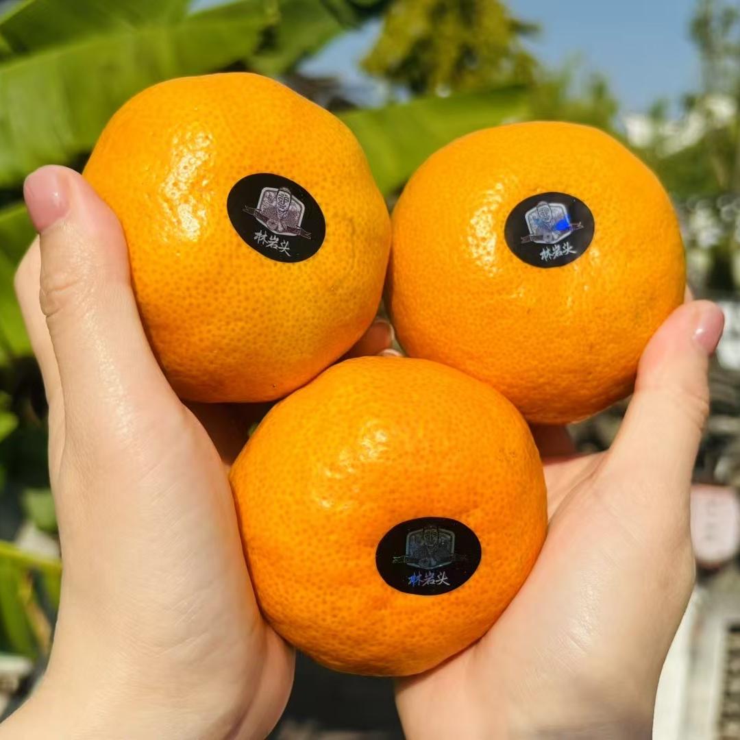 佳乐果园华东店