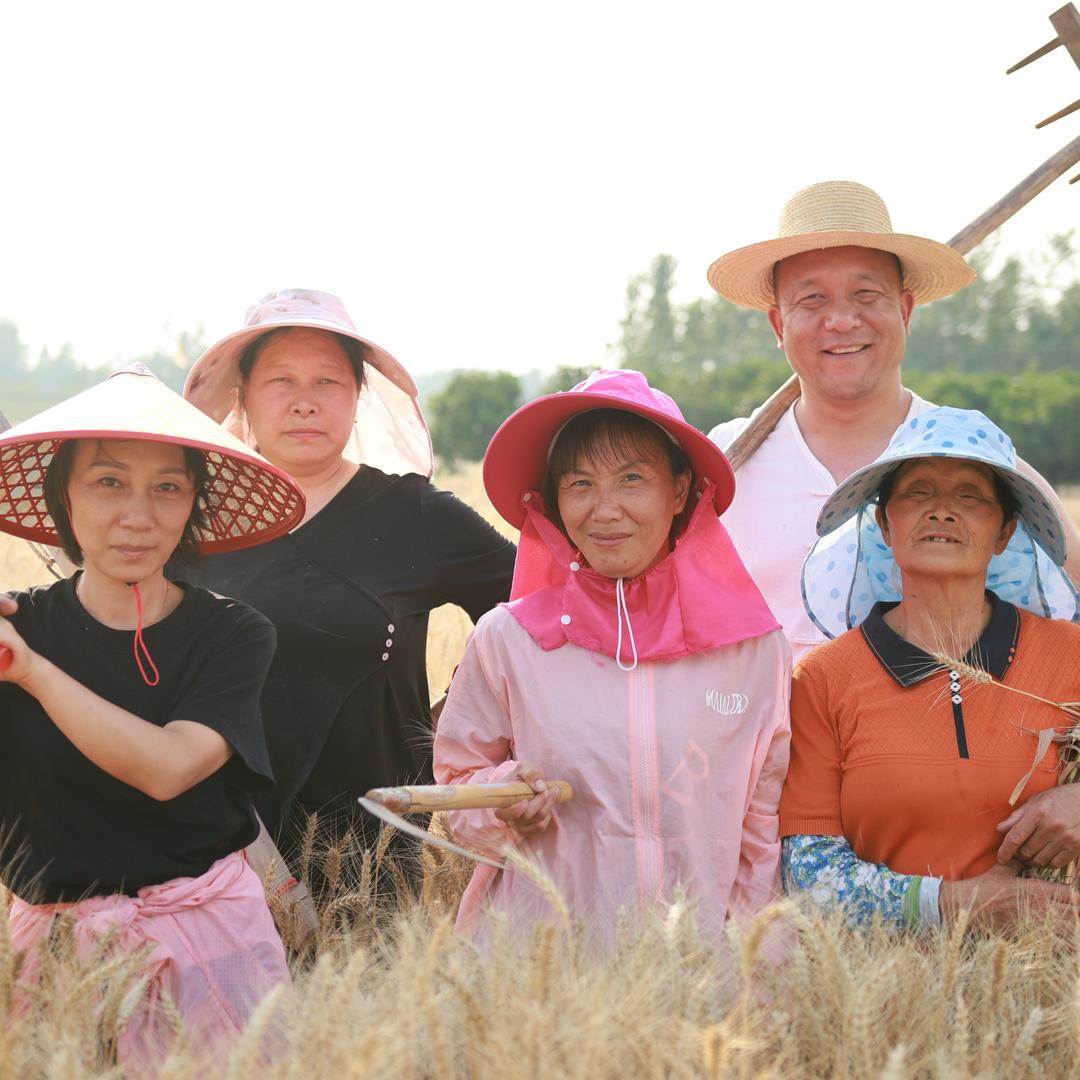 来客杀鸡小疯队