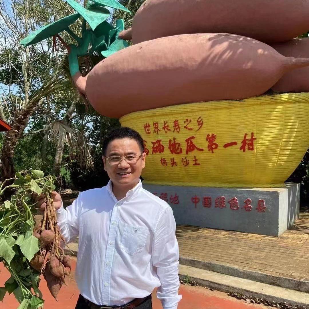 桥头地瓜剑哥