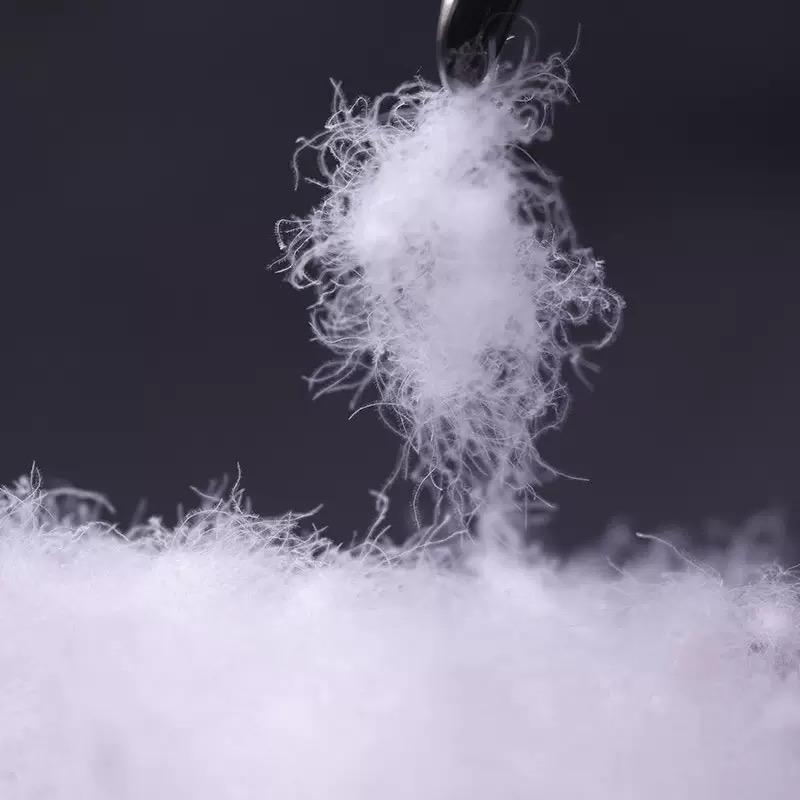 中隆羽绒小胖