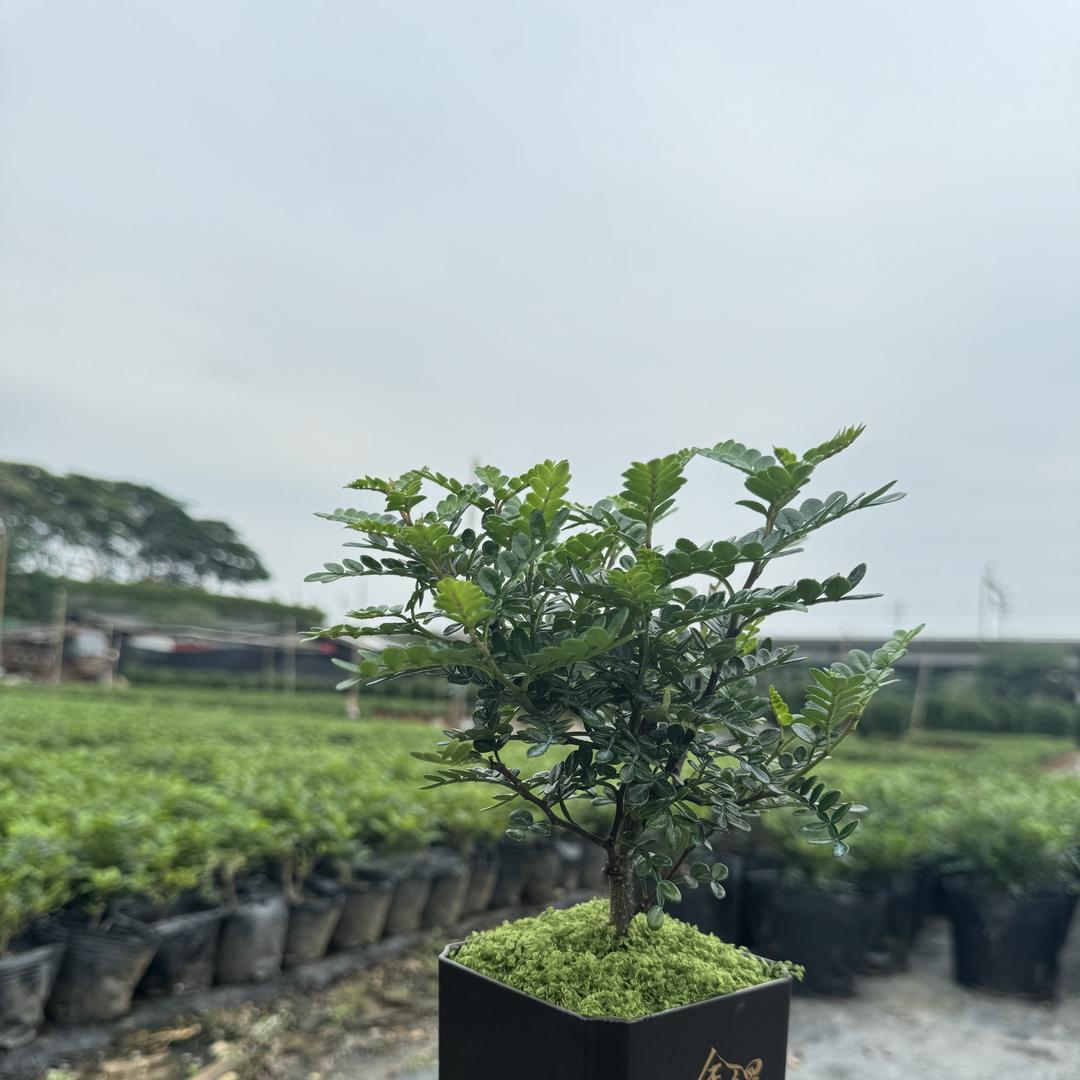 潼鑫源