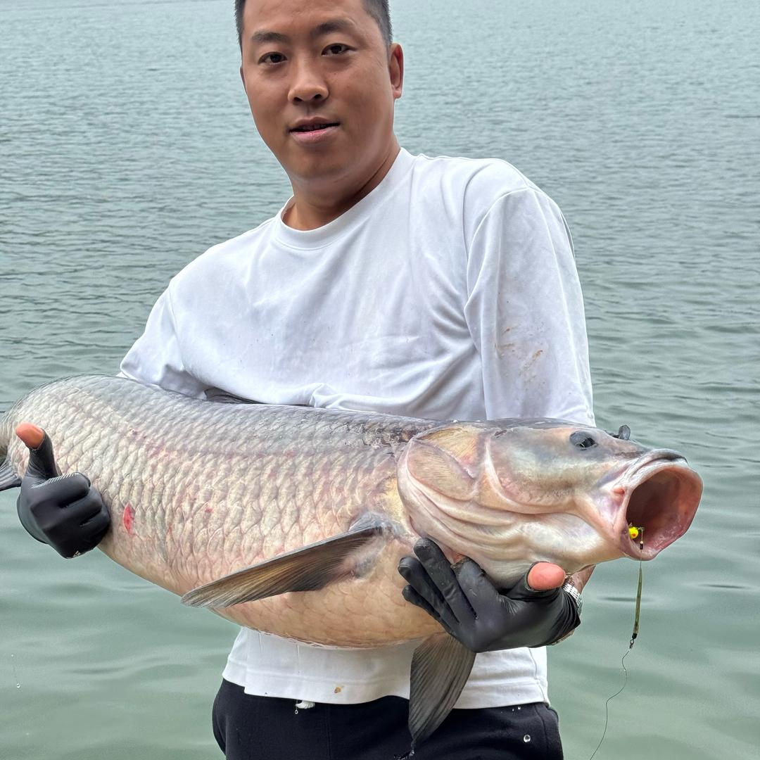 龙娃爱钓鱼