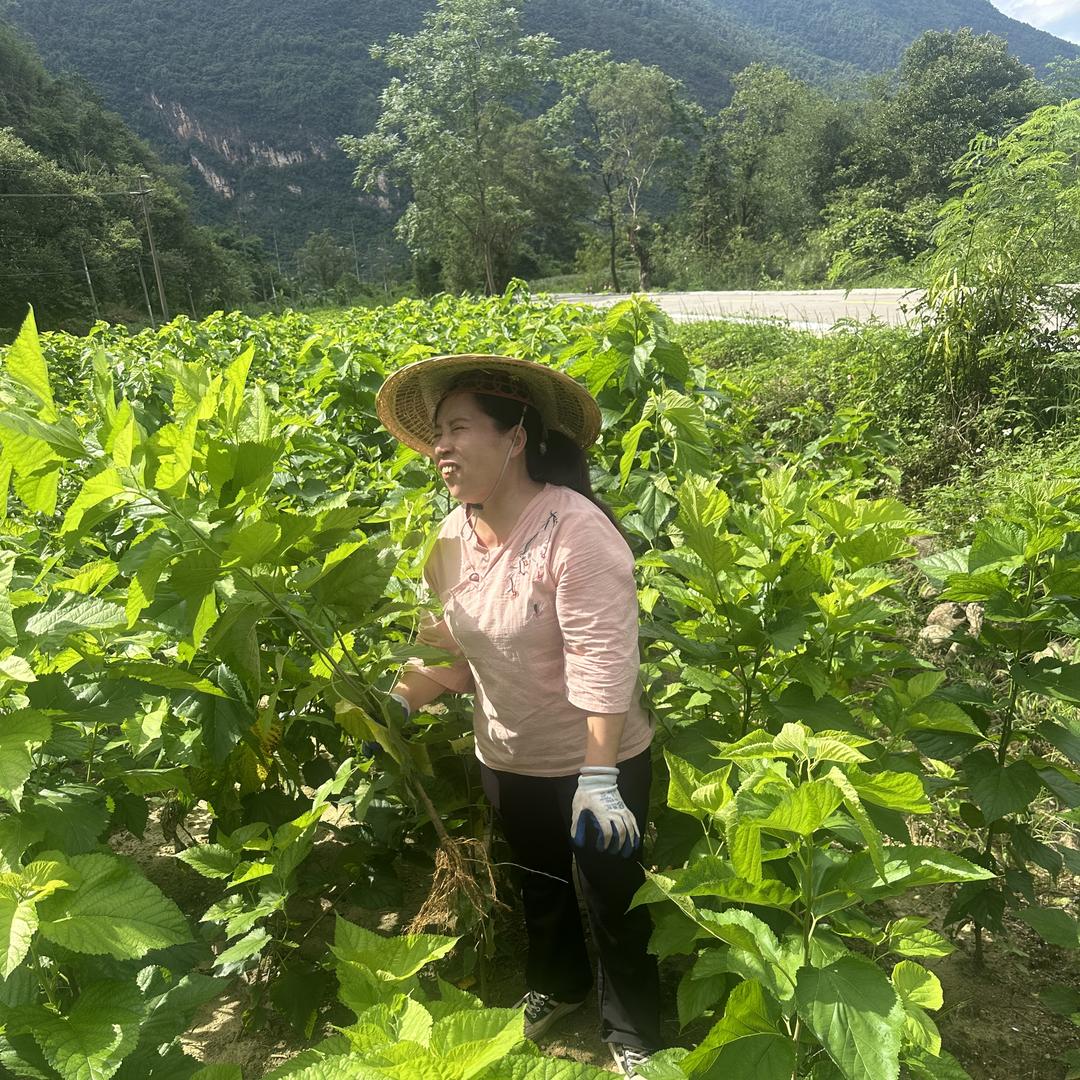 苗疆山妹山货Airt