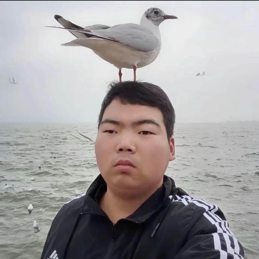 嫂子重度依赖