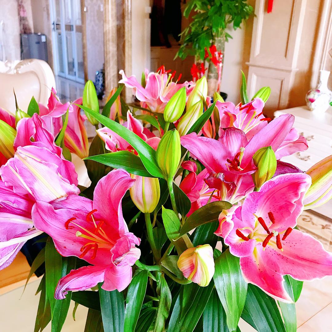春暖花开😃