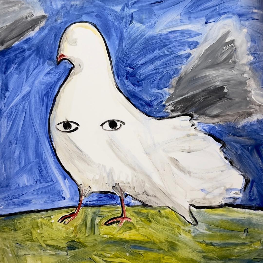 去有风的地方🍃