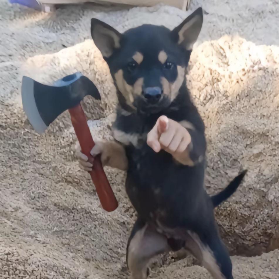 我是水瓶座我不想做水瓶座