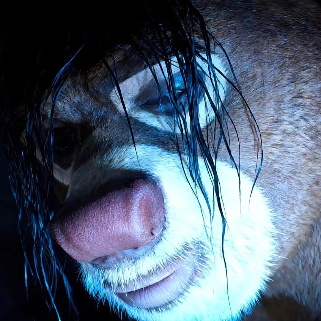 毛茸茸美如画大鼻子