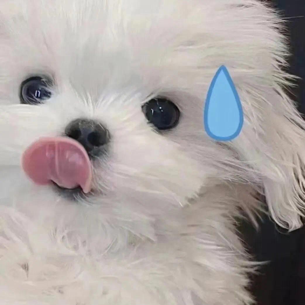 女王a