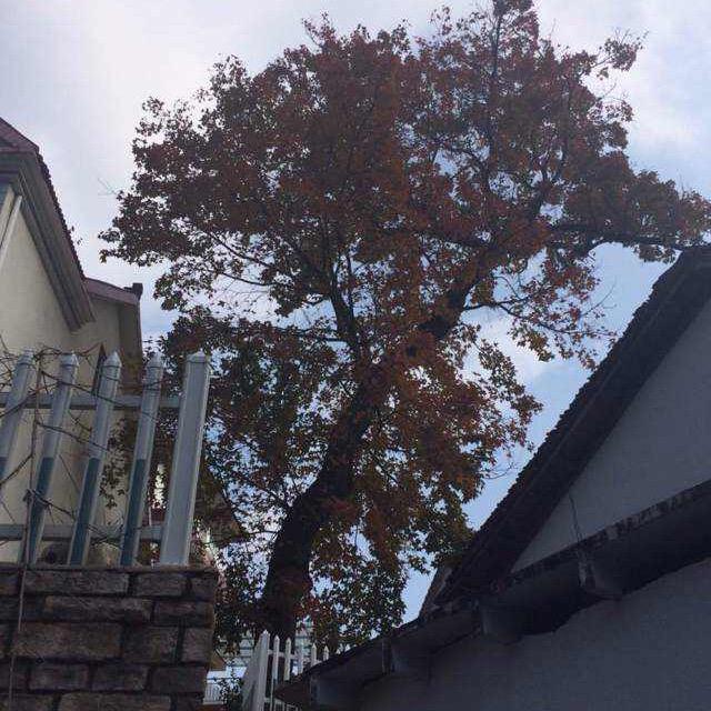 舍不得