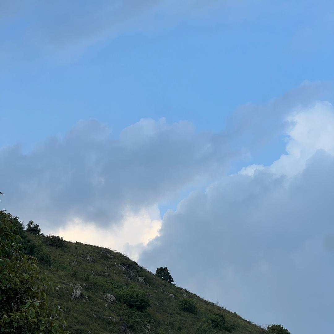 一天花雨