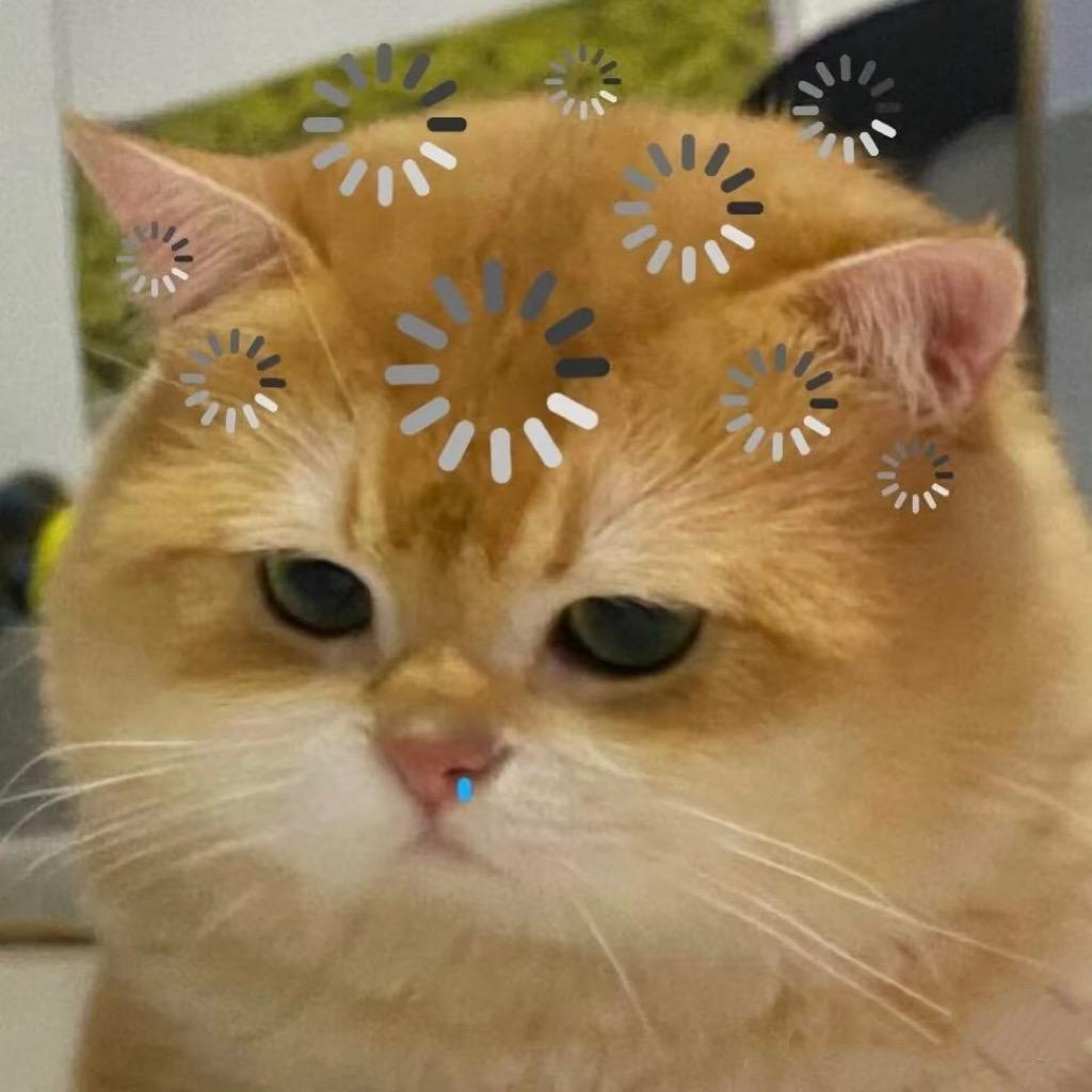 u点米
