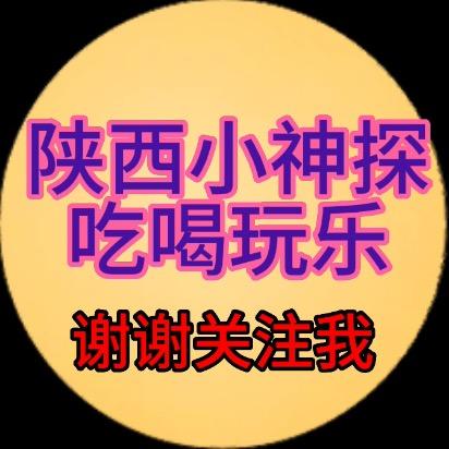 陕西小神探（免费探店）门店全面推广