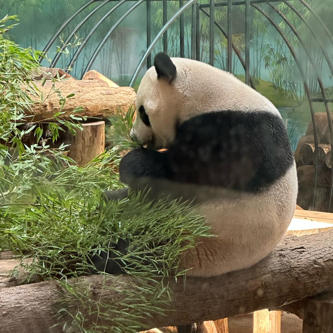 小嗝嗝
