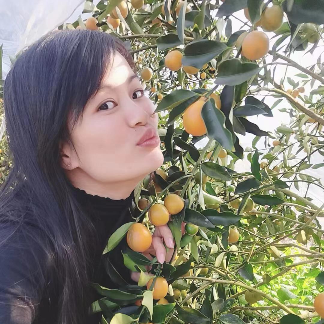 桔甜香香