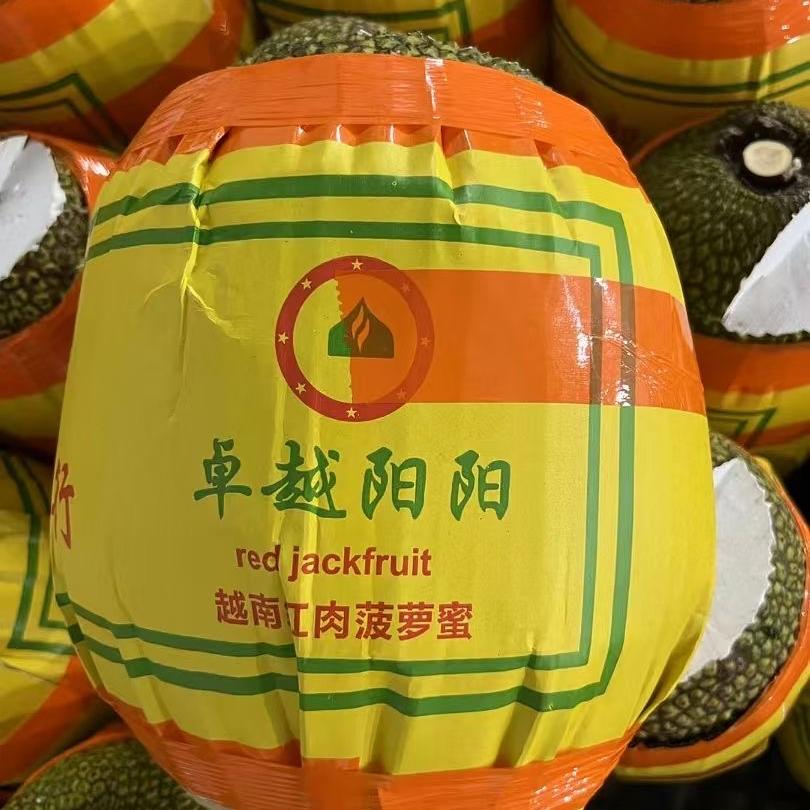 阳阳红肉菠萝蜜