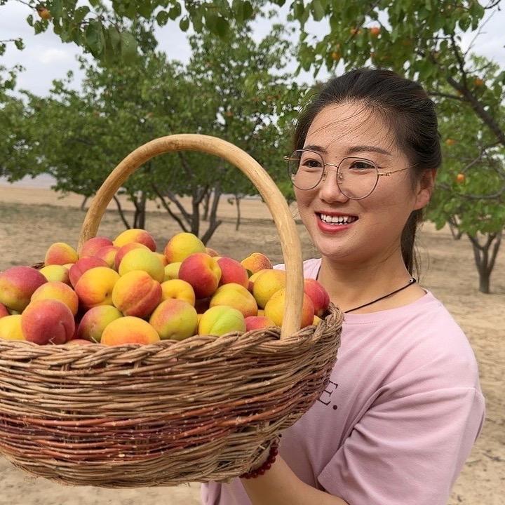 西北慧敏