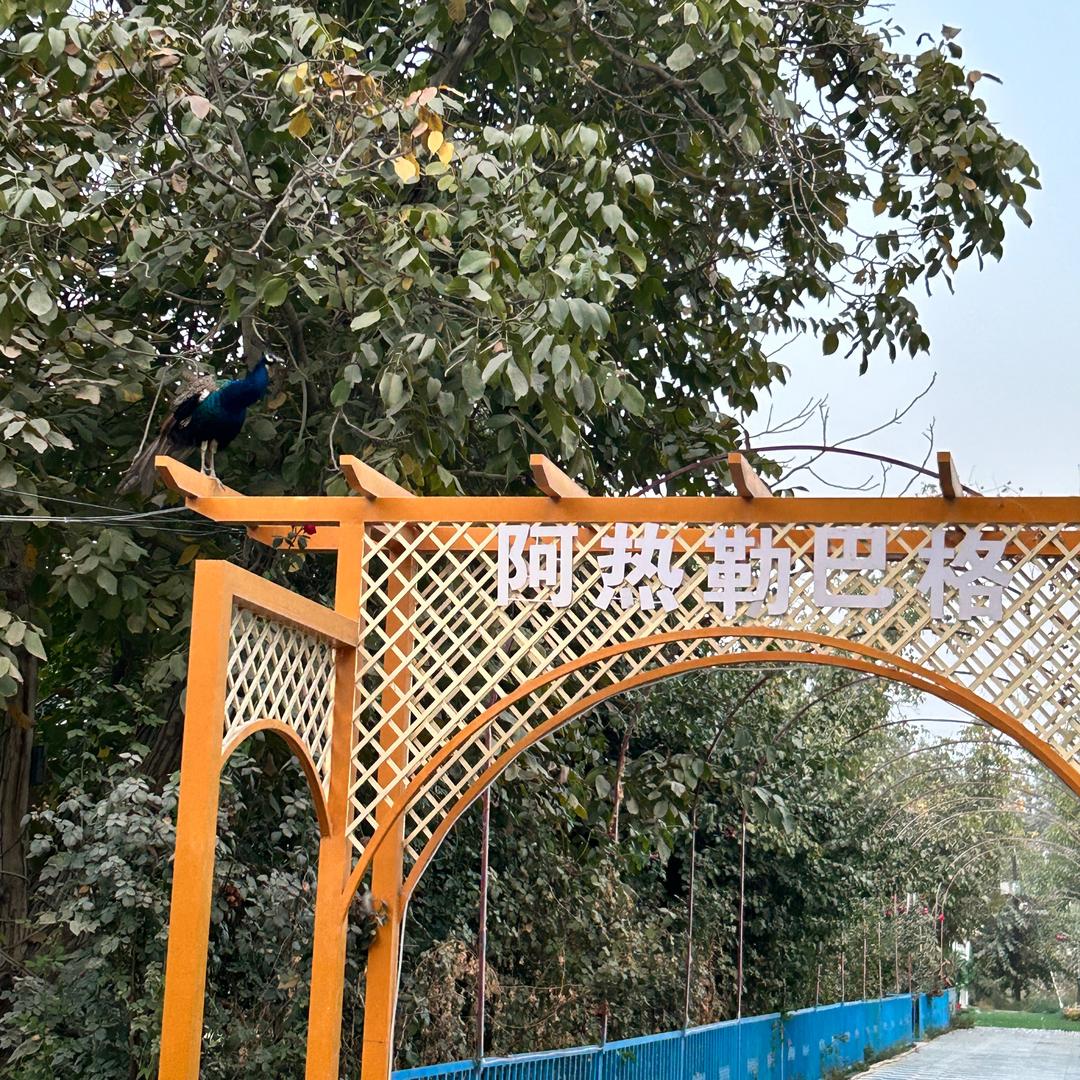 阿热勒巴格农家乐