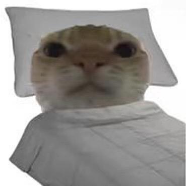 Ai.qin（目标卧推100g）