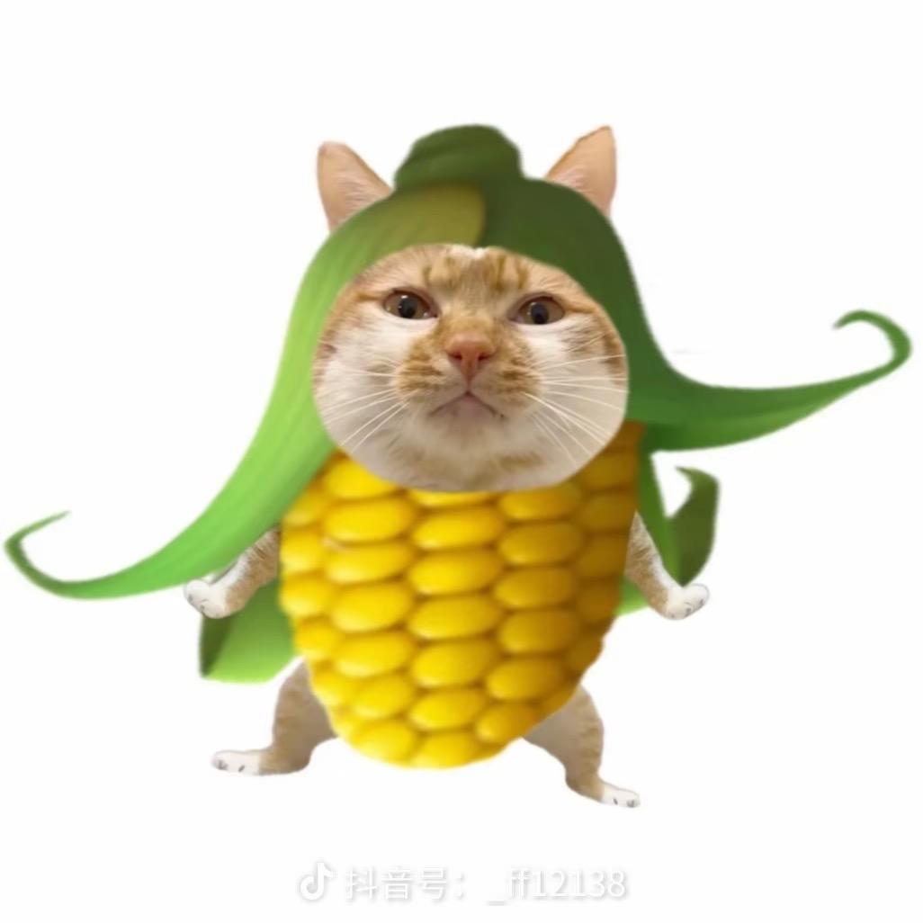 苞谷卡特.